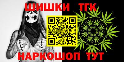 индика Кунгур