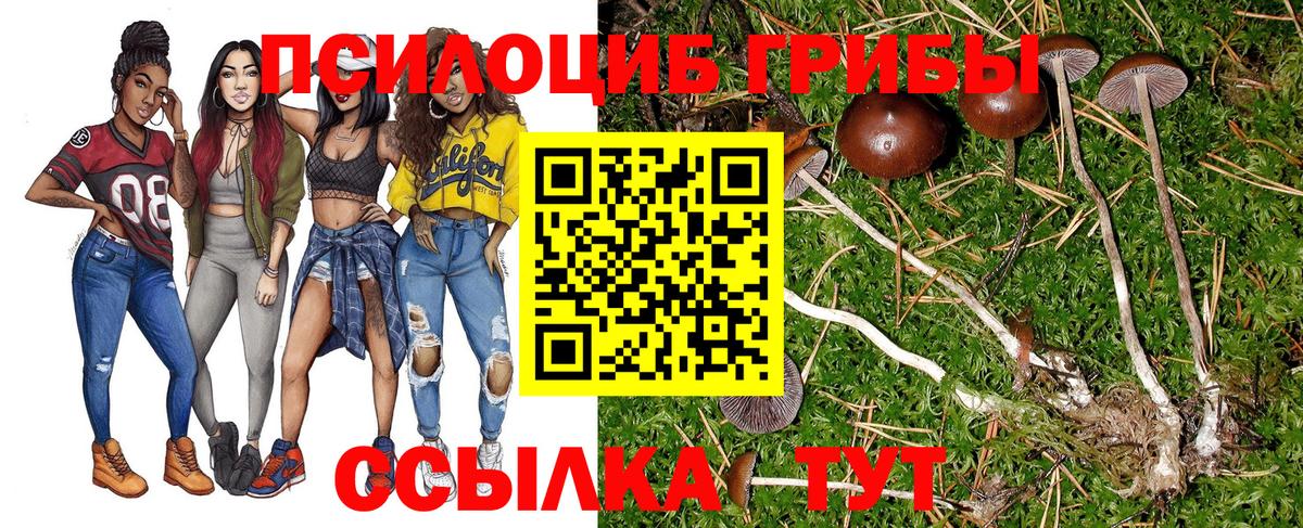 Псилоцибиновые грибы Cubensis Кубинка